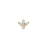 Markiz Tragus