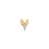 Roket Tragus