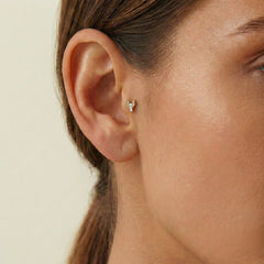 Roket Tragus