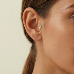 Motif Tragus