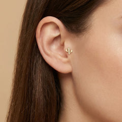 Kaktüs Tragus