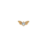 Kanat Tragus