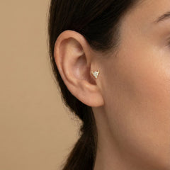 Viking Tragus