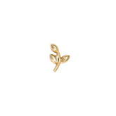 Dal Tragus