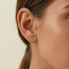 Dal Tragus
