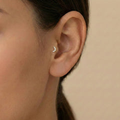 Ay Tragus