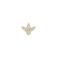 Markiz Tragus