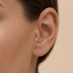 Ok Tragus