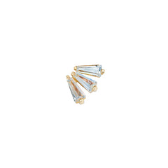 Baget Tragus