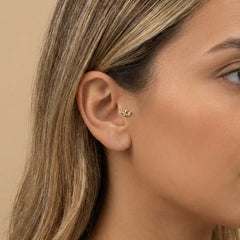 Lotus Tragus