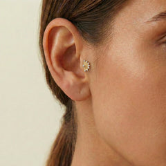 Güneş Tragus