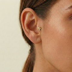 Kartal Tragus