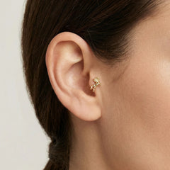 At Tragus