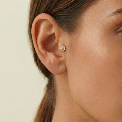 Ok Tragus