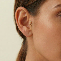 Yılan Tragus