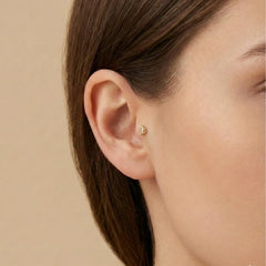 Kruvasan Tragus