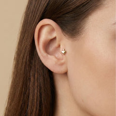 Kupa Tragus