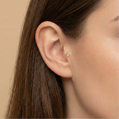 Diamond Tragus