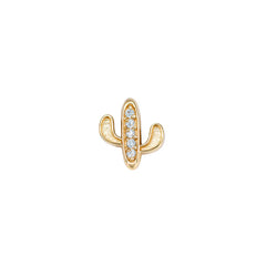 Kaktüs Tragus