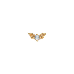 Kanat Tragus