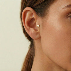 Kalp Tragus