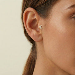 Rütbe Tragus