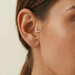 Arı Tragus