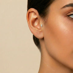 Damla Tragus